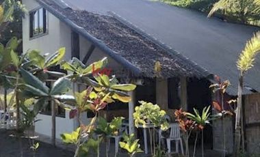 6.5 Hectares Land in Sabang, San Juan, Camarines Sur