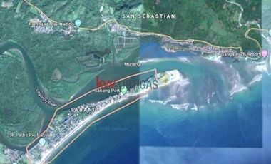 6.5 Hectares Land in Sabang, San Juan, Camarines Sur