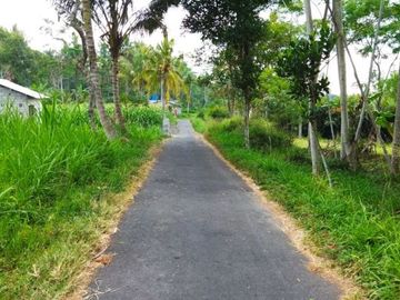 HARGA MURAH: Tanah Luas Dekat Kopi Teras Merapi