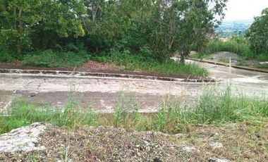 160 Sqm Subdivision Lot for Sale in Bulacao Talisay Cebu City