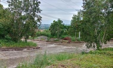 160 Sqm Subdivision Lot for Sale in Bulacao Talisay Cebu City