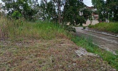 160 Sqm Subdivision Lot for Sale in Bulacao Talisay Cebu City
