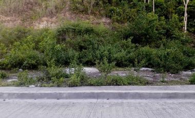 Most Affordable 270 Sqm Lot for Sale in Vista Verde Consolacion Cebu