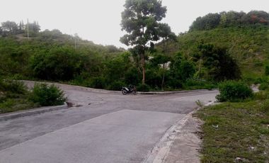 Most Affordable 270 Sqm Lot for Sale in Vista Verde Consolacion Cebu