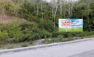 Most Affordable 270 Sqm Lot for Sale in Vista Verde Consolacion Cebu