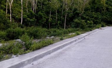 Most Affordable 270 Sqm Lot for Sale in Vista Verde Consolacion Cebu