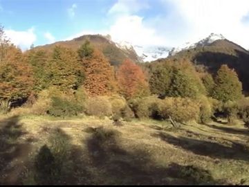 campo de 134 hect bosque nativo y rio al sur Cerro Castillo