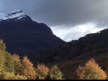 campo de 134 hect bosque nativo y rio al sur Cerro Castillo