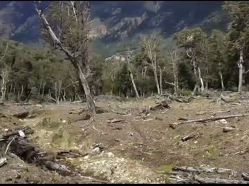 campo de 134 hect bosque nativo y rio al sur Cerro Castillo