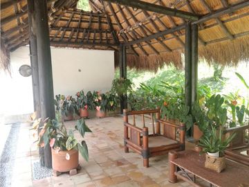 VENTA DE FINCA EN  FREDONIA - SUROESTE ANTIOQUEÑO