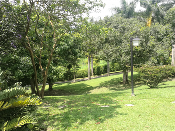 VENTA DE FINCA EN  FREDONIA - SUROESTE ANTIOQUEÑO