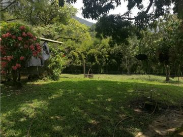 VENTA DE FINCA EN  FREDONIA - SUROESTE ANTIOQUEÑO