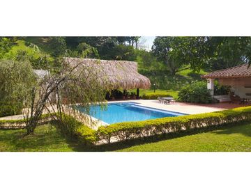 VENTA DE FINCA EN  FREDONIA - SUROESTE ANTIOQUEÑO