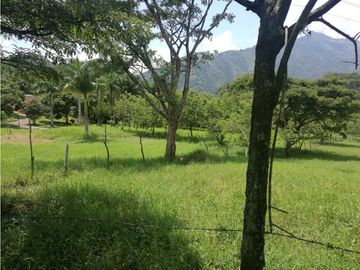 VENTA DE FINCA EN  FREDONIA - SUROESTE ANTIOQUEÑO