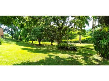 VENTA DE FINCA EN  FREDONIA - SUROESTE ANTIOQUEÑO
