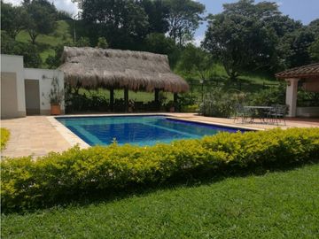 VENTA DE FINCA EN  FREDONIA - SUROESTE ANTIOQUEÑO