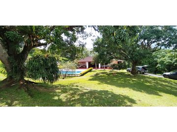 VENTA DE FINCA EN  FREDONIA - SUROESTE ANTIOQUEÑO