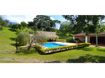 VENTA DE FINCA EN  FREDONIA - SUROESTE ANTIOQUEÑO