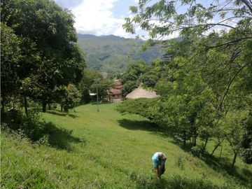 VENTA DE FINCA EN  FREDONIA - SUROESTE ANTIOQUEÑO