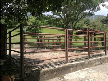 VENTA DE FINCA EN  FREDONIA - SUROESTE ANTIOQUEÑO