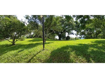 VENTA DE FINCA EN  FREDONIA - SUROESTE ANTIOQUEÑO