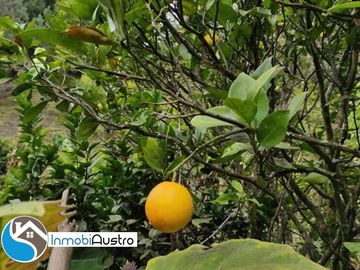 Vía Loja, Venta de Terreno con Hermosa Vista