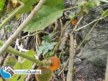 Vía Loja, Venta de Terreno con Hermosa Vista