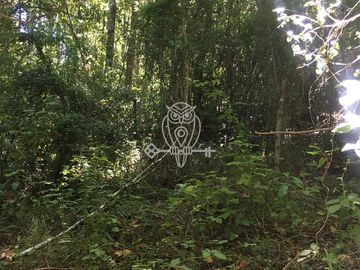 Sitio en venta orilla rio Liucura en Pucón