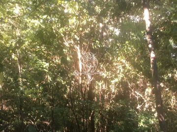 Sitio en venta orilla rio Liucura en Pucón