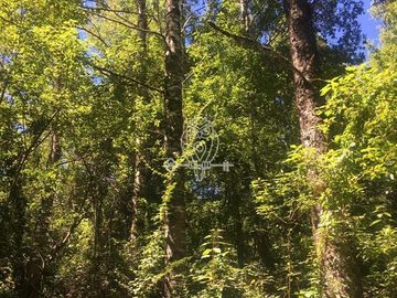 Sitio en venta orilla rio Liucura en Pucón