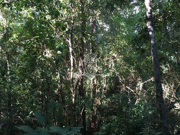 Sitio en venta orilla rio Liucura en Pucón