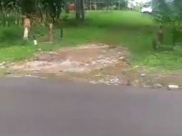 Tanah Murah Subang Strategis Untuk Bisnis Perumahan Resort