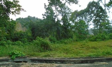 189 SQM Subdivision Lot for Sale in Greenwoods near Talamban Cebu City
