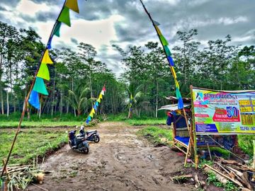 Tanah di desa palaan - Kec. Ngajum dijual harga 55 Juta