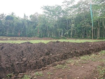 OBRAL RUMAH MURAH DEKAT KOTA MALANG PROMO 3 UNIT 180 JT