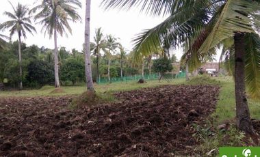 Farm Lot for Sale in Borbon, Cebu