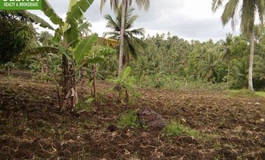 Farm Lot for Sale in Borbon, Cebu