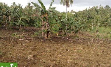 Farm Lot for Sale in Borbon, Cebu