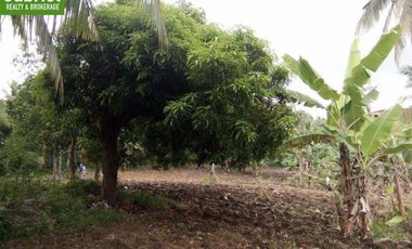 Farm Lot for Sale in Borbon, Cebu