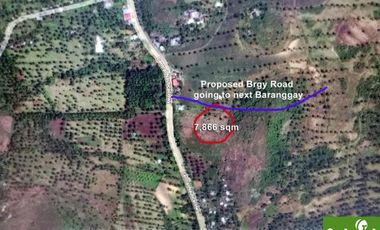 Farm Lot for Sale in Borbon, Cebu