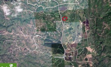Farm Lot for Sale in Borbon, Cebu