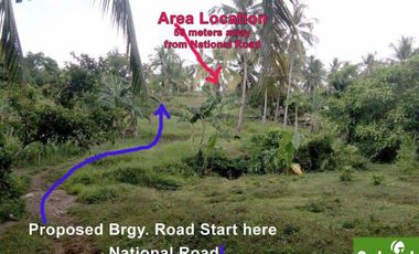 Farm Lot for Sale in Borbon, Cebu