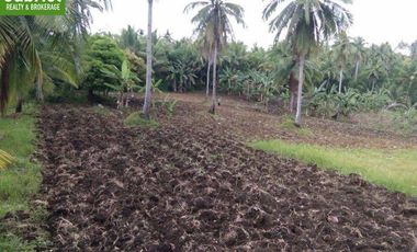 Farm Lot for Sale in Borbon, Cebu