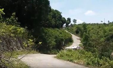 CHEAPEST READY FOR BUILDING 60 SQM in Jordan Heights CONSOLACION CEBU
