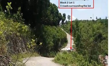 CHEAPEST READY FOR BUILDING 60 SQM in Jordan Heights CONSOLACION CEBU
