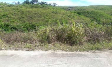CHEAPEST READY FOR BUILDING 60 SQM in Jordan Heights CONSOLACION CEBU