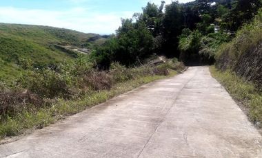 CHEAPEST READY FOR BUILDING 60 SQM in Jordan Heights CONSOLACION CEBU