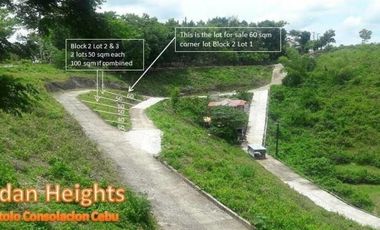 CHEAPEST READY FOR BUILDING 60 SQM in Jordan Heights CONSOLACION CEBU