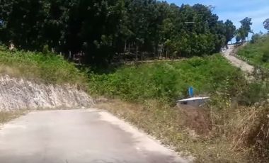 CHEAPEST READY FOR BUILDING 60 SQM in Jordan Heights CONSOLACION CEBU