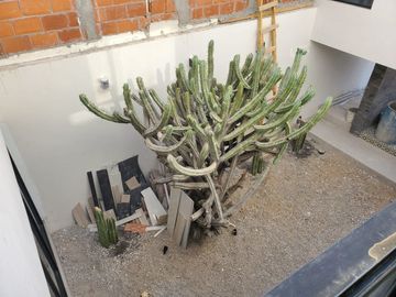 Residencia en Altozanzo, Jardín, 3 Habitaciones, Family Room, Super LUJO !!